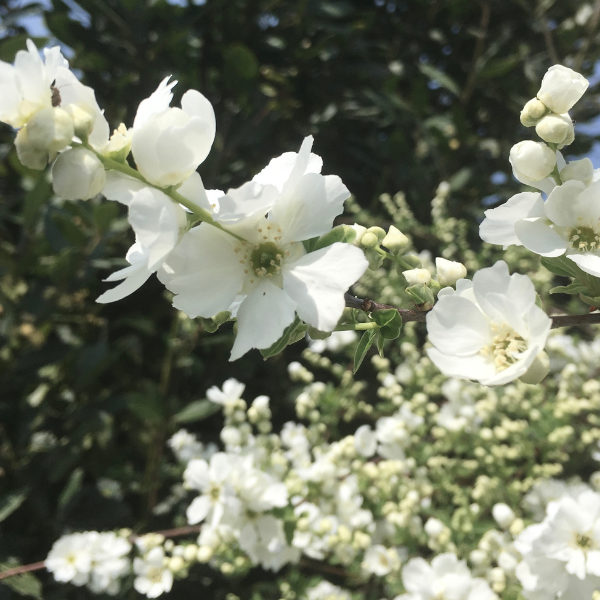 Geef je huid een lente-reset: zo krijg je weer een natuurlijke glow